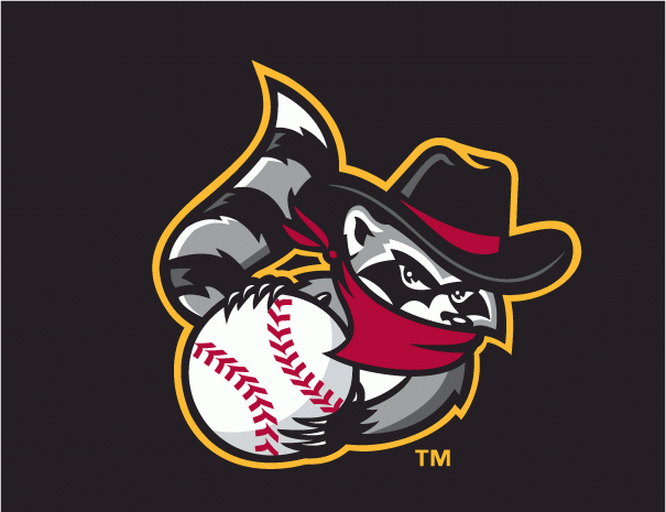 Quad Cities River Bandits 2008-2010 cap logo iron on transfers for clothing